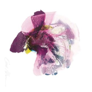 Exotic Rose