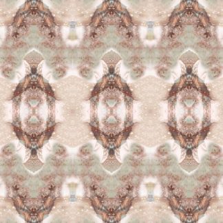 Consciousness 1