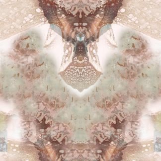 Consciousness 2