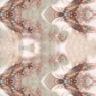 Consciousness 3