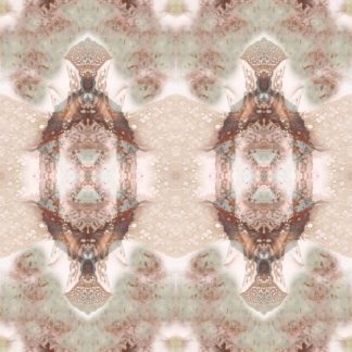 Consciousness 4