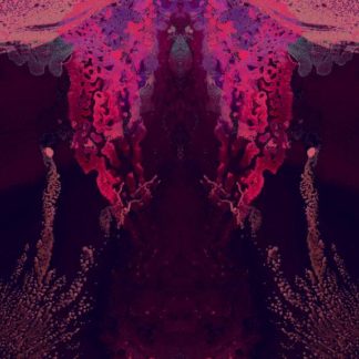 Enchanted Seaweed Spilt Lava Repeat