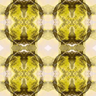 Exotica Gold and Black Repeat